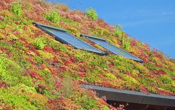 Seacroft living roof systems