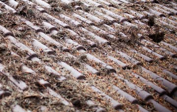 Seacroft roof cleaning companies