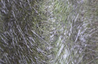 Seacroft fibreglass roof work